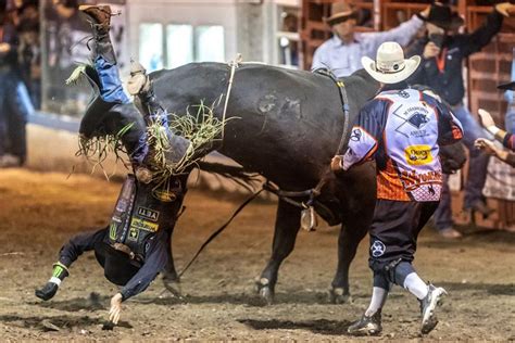 May 8, 2024 · Mauney decided to drive over to Lewiston, Idaho, for the Lewiston Roundup rodeo. He arrived in Lewiston as beat up as ever -- breaks in his left leg and foot and right ankle -- and he drew an old ... . 