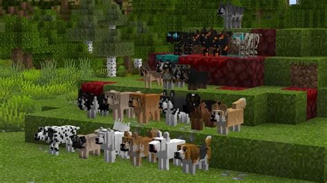 Jdogs Simple Pack Minecraft Texture Pack