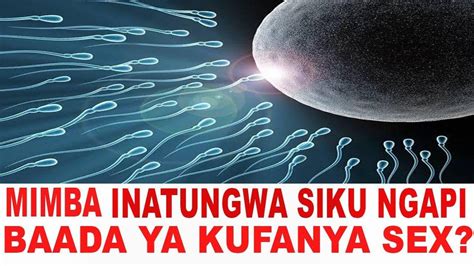 Je, ni Muda Gani Baada ya MC Hutoa Ovulation (Na Kwa Nini)?