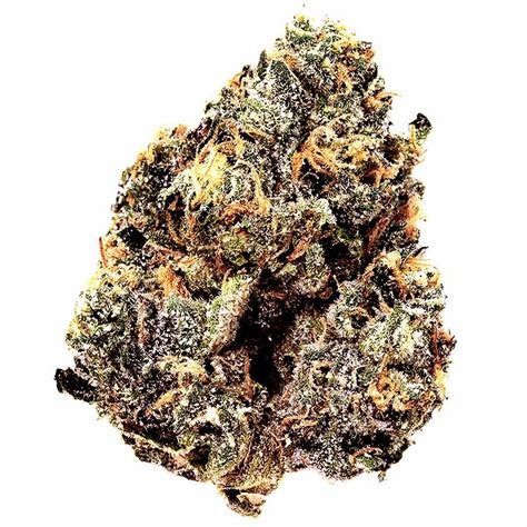 Jealous strain. This strain is in high demand, so gear up for the next 100-kilo batch to hit BC, Ontario, Saskatchewan, Manitoba, and Nunavut dispensaries around April 20th. ... blending Jealousy x Zoap, ... 