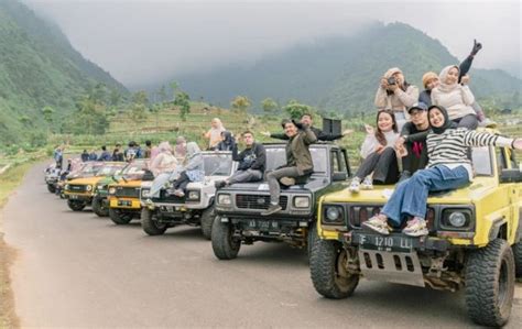 Jeep Dieng: What Are the Different Models of Jeeps? image 1