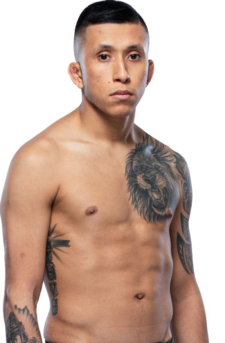 Jeff molina 4chan. U nder less-than-ideal circumstances, UFC flyweight Jeff Molina has revealed that he is bisexual, making him the first male UFC fighter to come out as being part of the LGBTQ community. Molina ... 