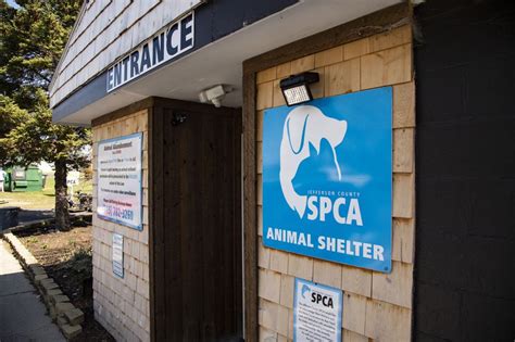 Jefferson county spca. Things To Know About Jefferson county spca. 