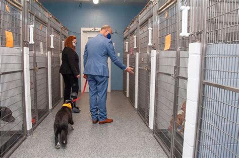 The Jeffersonville Animal Shelter is owned and operated by the City of Jeffersonville, but provides animal shelter services (not animal control, however) to other areas of Clark County — including Borden, Charlestown, Clarksville, Sellersburg, Utica and unincorporated areas of Clark County — through a series of interlocal agreements. . 