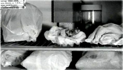Initially, according to a 1996 report from The Washington Post, a court ruled that Dahmer's belongings – including the fridge, the dressers, the knives, and the rest of his furniture – would be auctioned off to raise money for the families. However, due to fears that they would be sold off to serial killer fanatics and "murder-abilia .... 