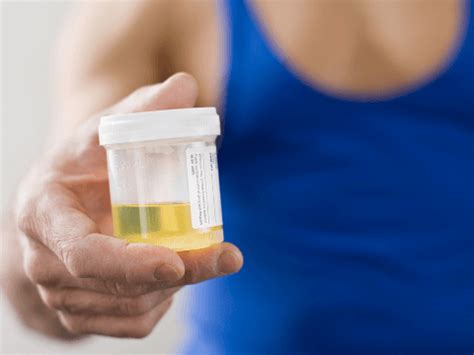 Jello To Pass A Urine Drug Test