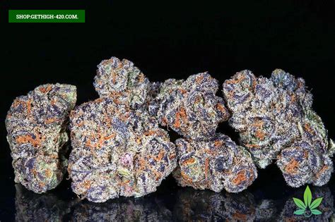 low THC high THC. Purple Gushers is a hybrid weed strain made from a genetic cross between Purple Punch and Gelato. This strain is an evenly balanced hybrid, showcasing characteristics from both .... 