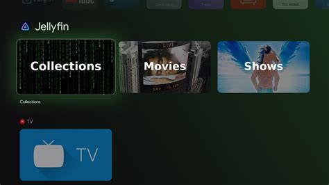 Jellyfin Default Login Login Pages Info