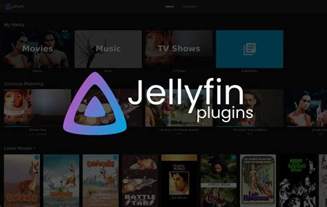 Jellyfin netflix plugin.  Feel free to check it out or include in your list.  Contribute to itul...