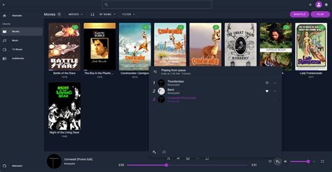 Jellyfin Media Player. Desktop client using jellyfin-web with embedded MPV player. Supports Windows, Mac OS, and Linux. Media plays within the same window using the jellyfin-web interface unlike Jellyfin Desktop. Supports audio passthrough. Based on Plex Media Player. Downloads: Windows, Mac, and Linux Releases; Flathub (Linux) Related …. 