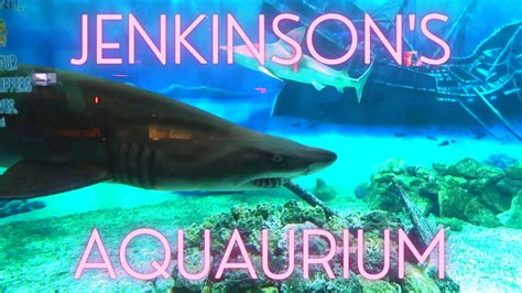 Jenkinson's aquarium. Things To Know About Jenkinson's aquarium. 