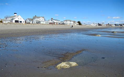 Jenness beach tides. Things To Know About Jenness beach tides. 