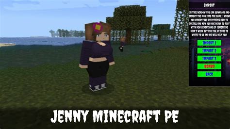 Jenny Mod step-by-step guide