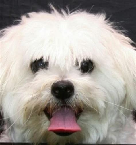 Jennychel26 Leaks [HD] 🍌 172 Vids