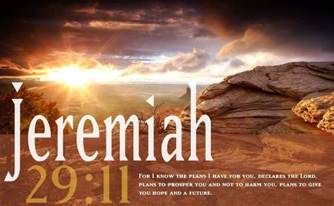 Read Online Jeremiah 2911 By Anonymous