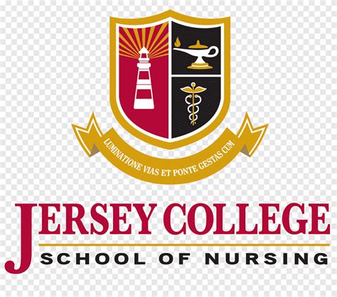 Jersey college of nursing. Nursing programs for all levels. The nursing school at Jersey College is institutionally accredited by the Council on Occupational Education and offers a Practical … 