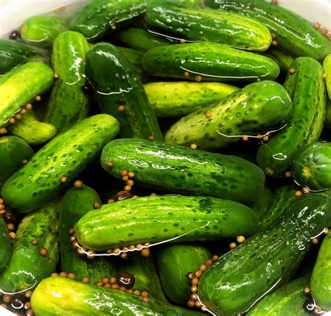 Jersey pickles. The smooth and savory notes of the olives are enhanced by the robust heat of the jalapeño peppers. The peppers infuse a zesty, spicy kick that lingers on your palate, dancing with the natural saltiness of the olives. It's a delightful combination that's sure to awaken your taste buds. Size. QUART. 1/2 GALLON. GALLON. $17.99 $19.99 … 