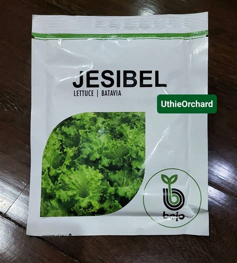 💋 (SEX) Jesibel Onlyfans Leaked