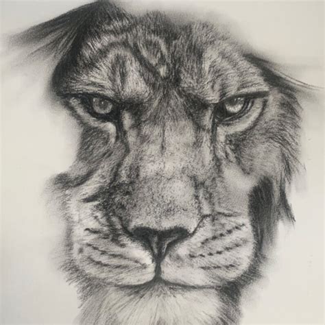 Jess C Leaked XxX 220 Photos