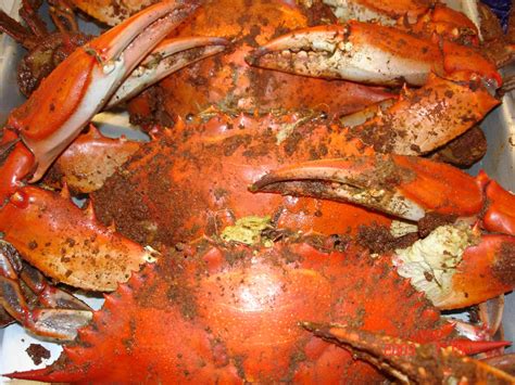 Jessup seafood market. Captain Mo's Seafood is a local seafood and steamed crab market carryout offering the finest Maryland steamed crabs, steamed shrimp, spiced shrimp, jumbo shrimp, snow crab legs and oysters and we are offering discounts on larger orders in the Washington DC metro area in Southern MD, Anne Arundel County, Charles County, St. Mary's County, Calvert … 
