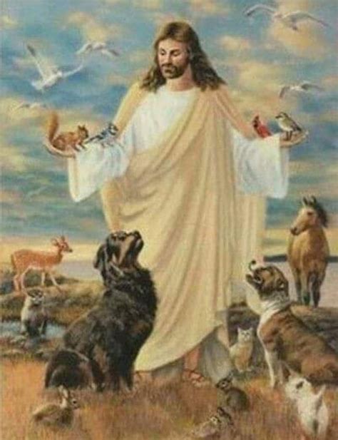 Jesus Dog!!! #shorts #dog #dogs #puppies #chihuahua #jesus