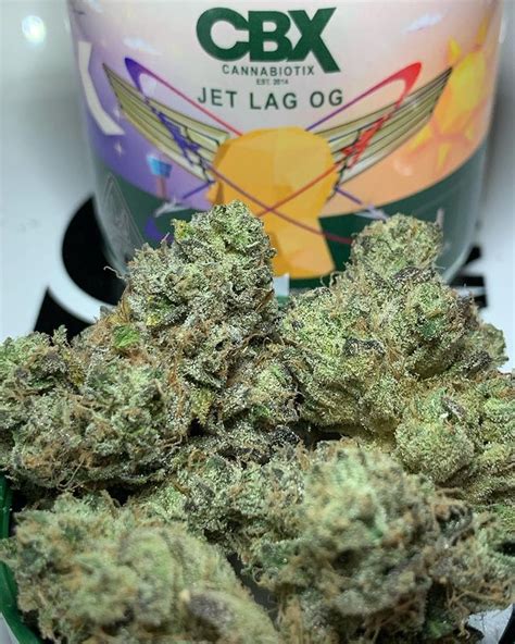Aug 2, 2023 · Jet Lag. Jet Lag is a popular weed