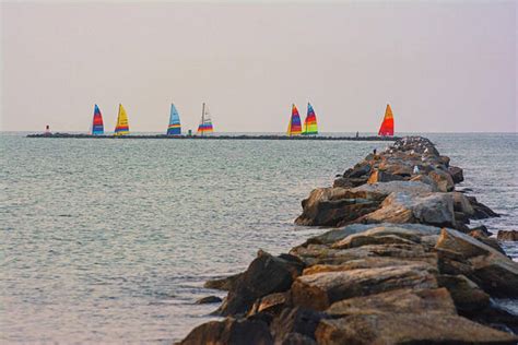 Profile picture of Jettie Gorczany