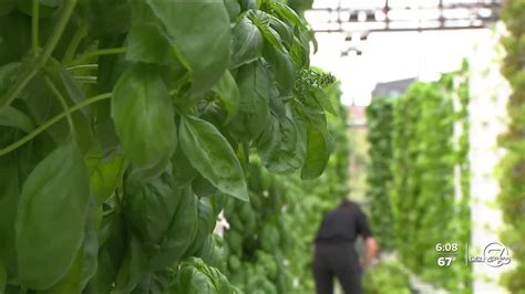 Jewish Family Service of Colorado acquires Altius Farms to help feed people in need