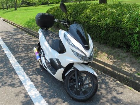 Jf81 Pcx 研究所