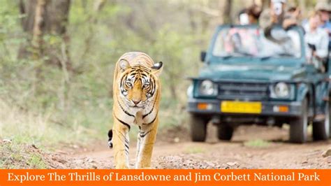 Jim Corbett park from Lansdowne - Jim Corbett National Park …