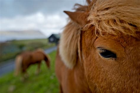 Jim Richardson on Taking Out-of-Focus Pictures - National …