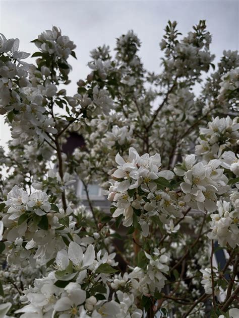 Jisatsuwaifu Onlyfans Leaked [HD] 💦 134 Pics