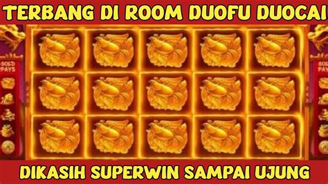Jitu main slot duofu duocai. Kodal ular masuk rumah togel.