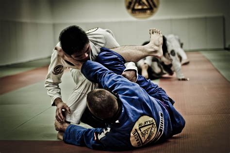 Jiu jitsu vs brazilian jiu jitsu. The belt system is slightly different between adult fighters and children. The adult belt system in Brazilian Jiu-Jitsu is for trainees ages 16 and older. The order of the adult belts is as follows: white, blue, purple, brown, black, coral (red/black), coral (red/white), and red. How much BJJ students master will … 