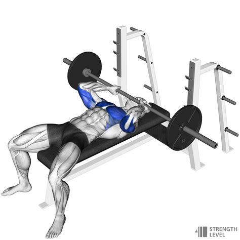 Jm presses. JM Press. Type: Strength. Main Muscle Worked: Triceps. Equipment: Barbell. Level: Beginner. 0. JM Press Images. Show female images and videos. JM Press Instructions. Load the bar to an appropriate … 