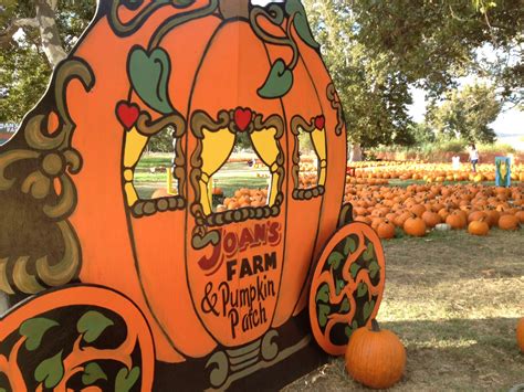 Joan's farm & pumpkin patch. Specialties: Family fun for everyone. It's an "old west town" and so much more. Pumpkins galore, corn maze, weekend pony rides, hayride, children's train, large blowup slide, gem panning, games. Established in 1990. Began in 1990 with a small pumpkin patch. Has evolved overtime to many activities and an "old west town". 