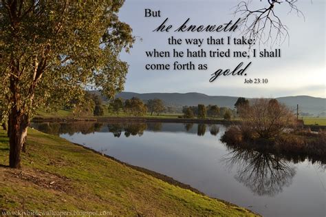 Job 23:10 KJV - But he knoweth the way that I take: - Bible Gateway