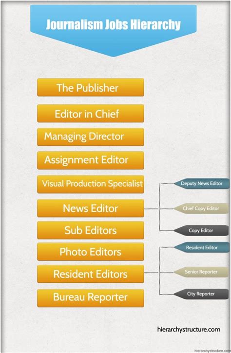 Job Roles And Types Of Journalism - Qlasses.com