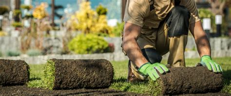 Job prospects Forest Nursery Labourer near Georgetown (ON)