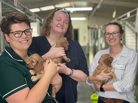 Jobs Working with Animals - TAFE Gippsland