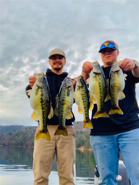 Jocassee fishing report. September 21. Lake Jocassee is at 97.2% of full pool and clarity is normal. Morning surface water temperatures are still about 79 on the main lake. It’s the time of year when the trout fishing always slows down on Lake Jocassee, and Guide Sam Jones of Jocassee Charters (864-280-9056) reports that all they can figure out is that in September and … 