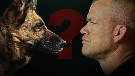 Jocko willink dog. Jocko Publishing was founded in 2018 as solution to a traditional publishing industry that lacked the speed and maneuverability needed for today's consumers and authors. It all began when retired Navy SEAL, top podcast host, leadership icon and New York Times best-selling author, Jocko Willink went to his publisher with a brand new children's ... 