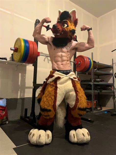 Jockstrap wolf furry.  Gay Furry Porn A high quality jockstrap for the Rexo...