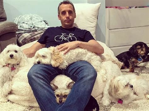 Joe Two Dogs