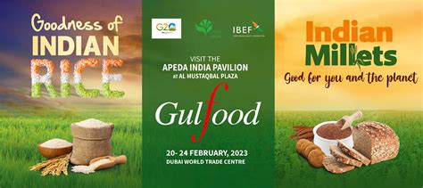 Joha.Diva Leaks PORN 💦 165 Pics