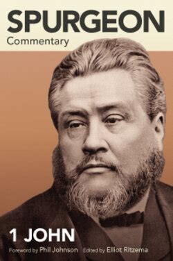 What does John 15:1-27 mean? Commentary, explanation and study verse by verse by Spurgeon's Bible Commentary. ONLINE and FREE