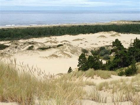 John Dellenback Dunes Trail - Tripadvisor