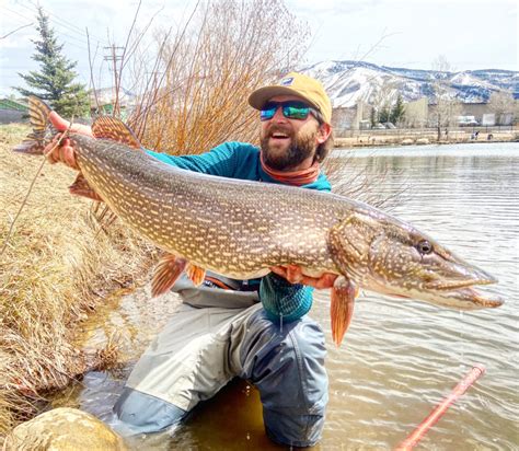 John Livingston - Steamboat Flyfisher