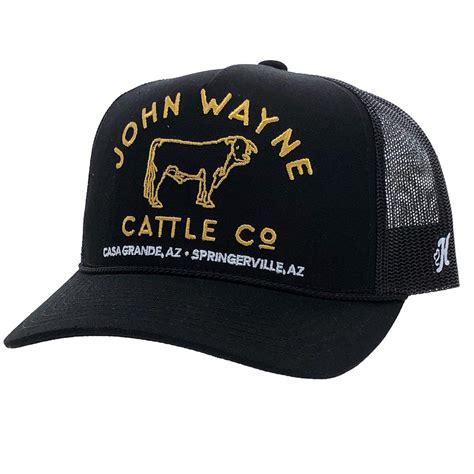 John Wayne: Cattle Company