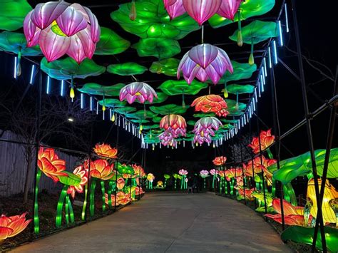 We explored John Ball Zoo's Lantern Festival and share a little clip from our tap class we've been going to lately.OH, HELLO CO DROP NEWSLETTER: https://bit..... 